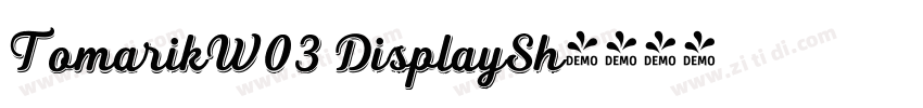 TomarikW03 DisplaySh字体转换